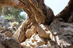 Autour des l’adrar n’yagour