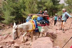 mountain-sahara-treks-110