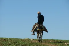 plateau-kik