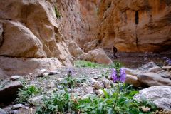 Taghia à la vallée heureuse