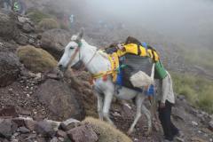 TOUR-AND-MOUNT-TOUBKAL-CLIMBING-1